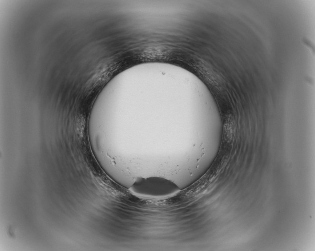 X0000096150458200802081416