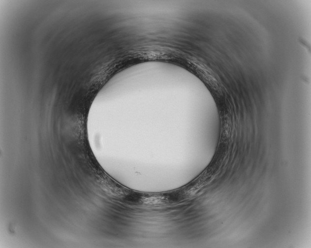 X0000096150461200802081416