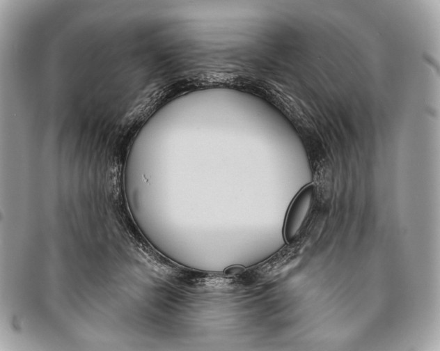 X0000096150462200802081416