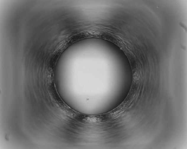 X0000096150464200802081416