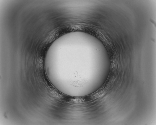 X0000096150466200802081416