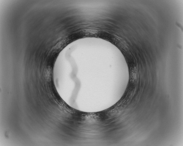 X0000096150468200802081416