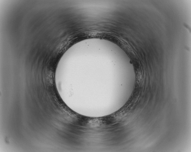 X0000096150470200802081416