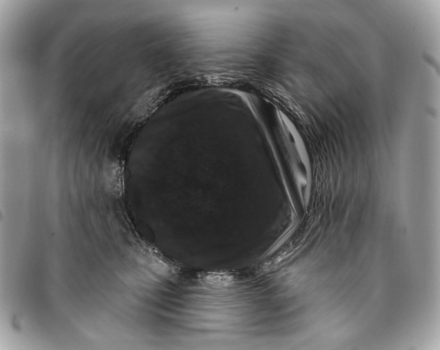 X0000096150471200802081416