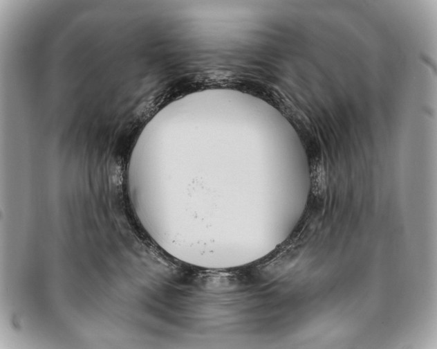 X0000096150472200802081416