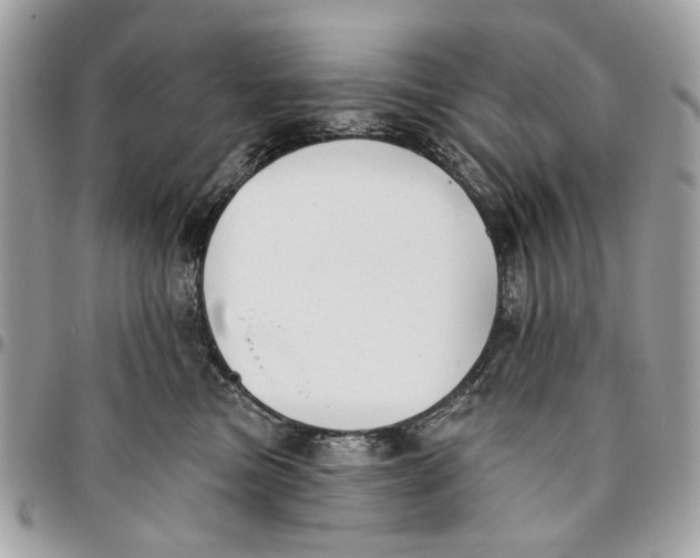 X0000096150473200802081416