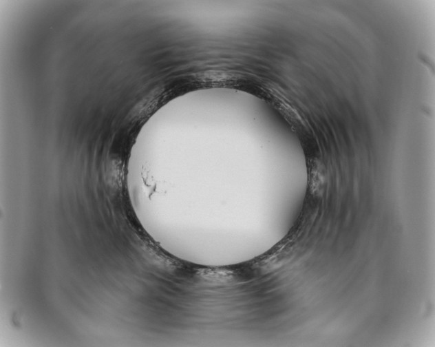 X0000096150476200802081416