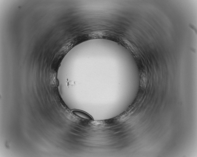 X0000096150477200802081416