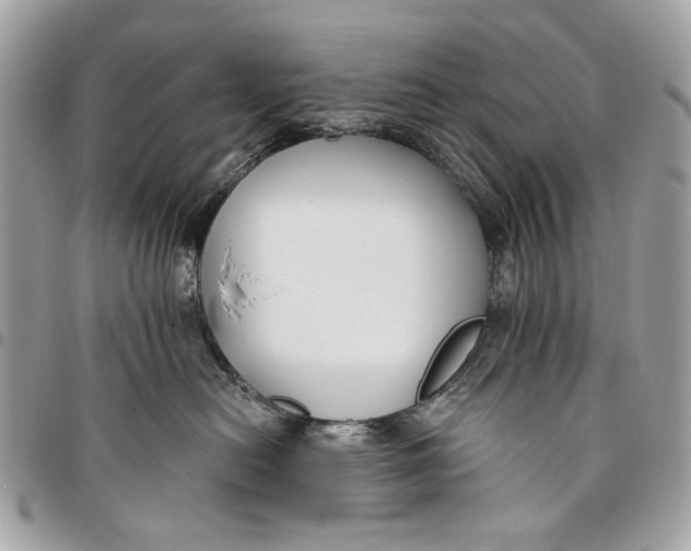 X0000096150478200802081416