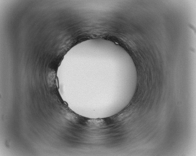 X0000096150480200802081416