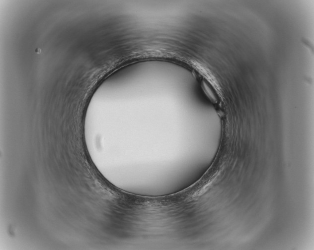 X0000096150481200802081415