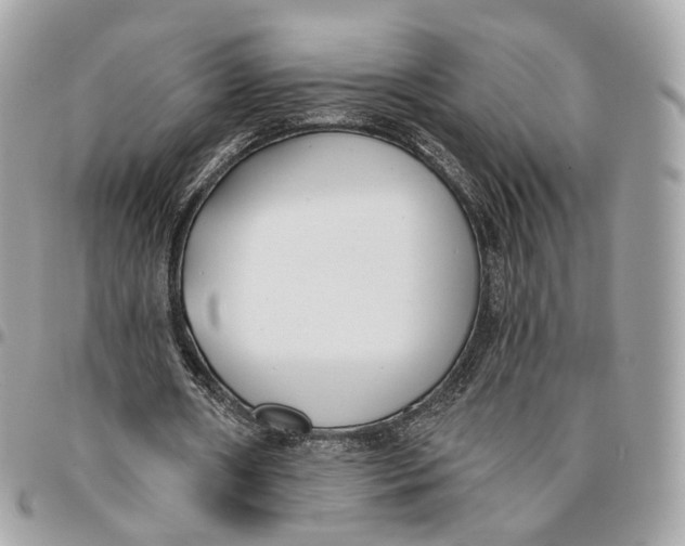 X0000096150482200802081415