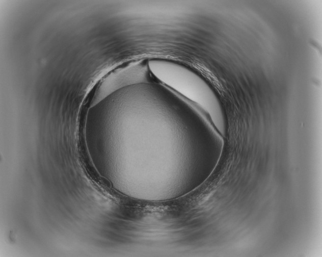 X0000096150484200802081415