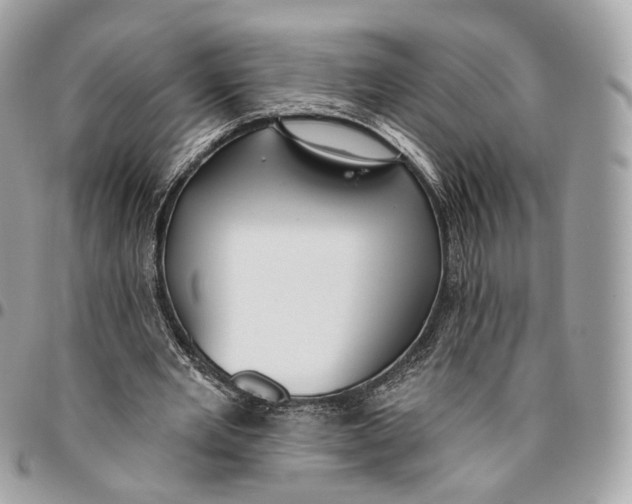 X0000096150485200802081415