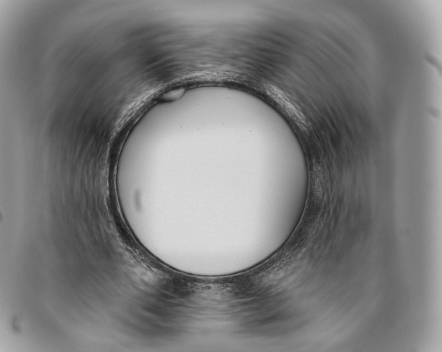 X0000096150486200802081415