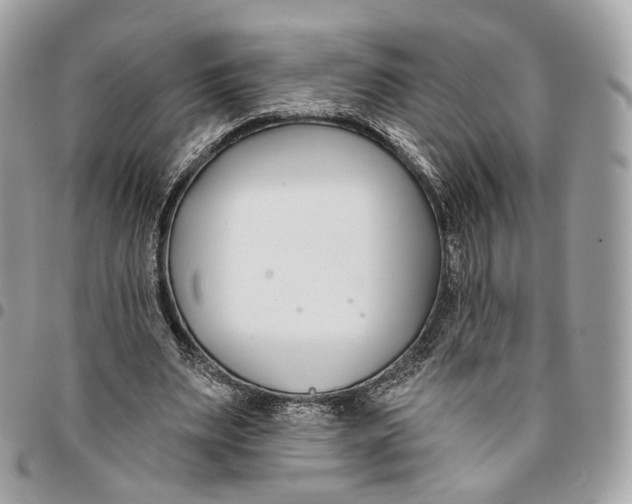 X0000096150487200802081415