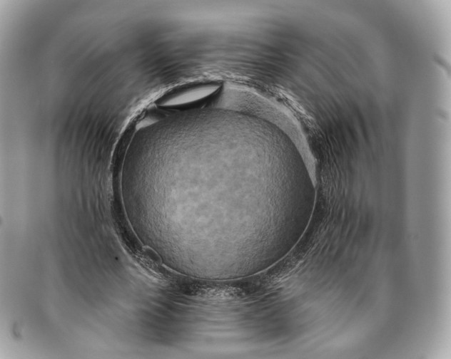 X0000096150488200802081415