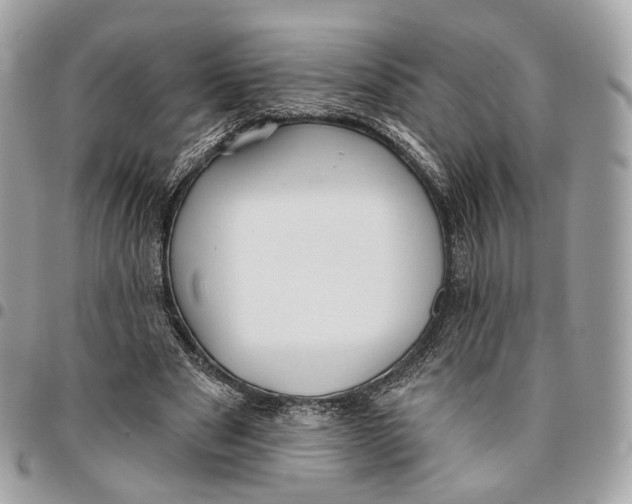 X0000096150489200802081415