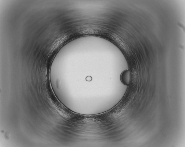 X0000096150490200802081415