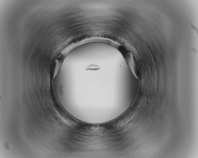 X0000096150493200802081415