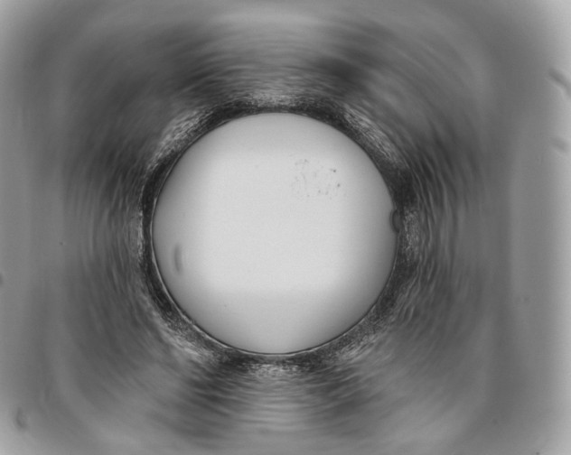 X0000096150494200802081415