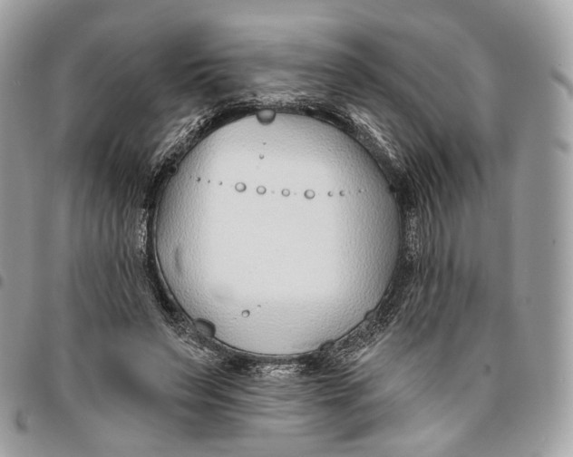 X0000096150495200802081415