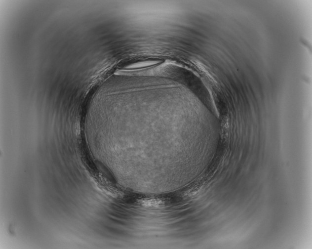 X0000096150500200802081415