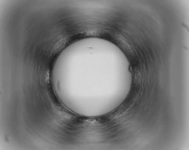 X0000096150502200802081415