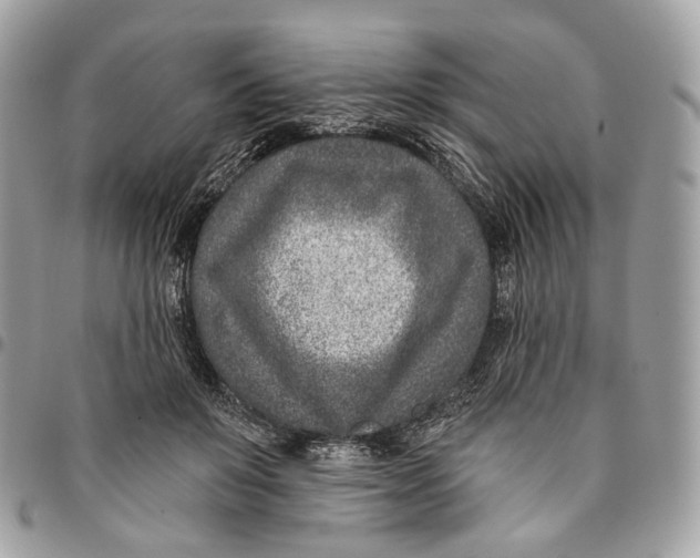 X0000096150503200802081415