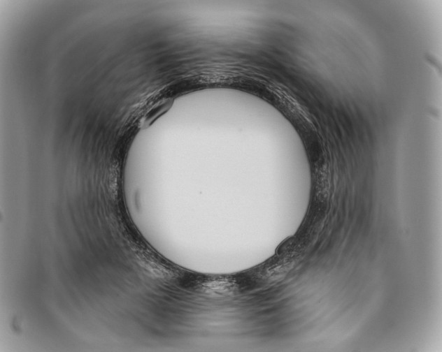 X0000096150505200802081415