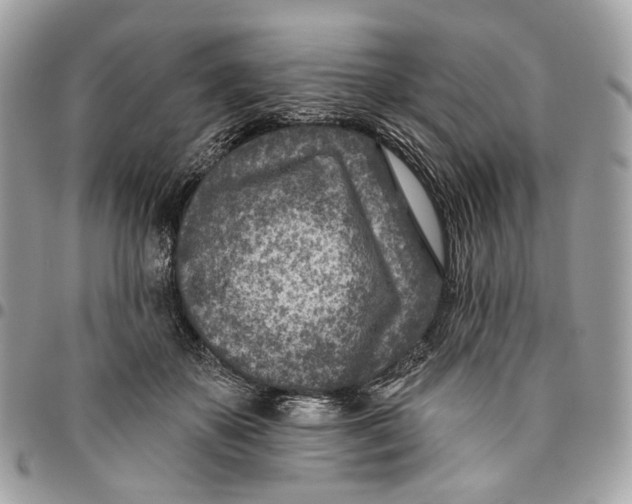 X0000096150507200802081415