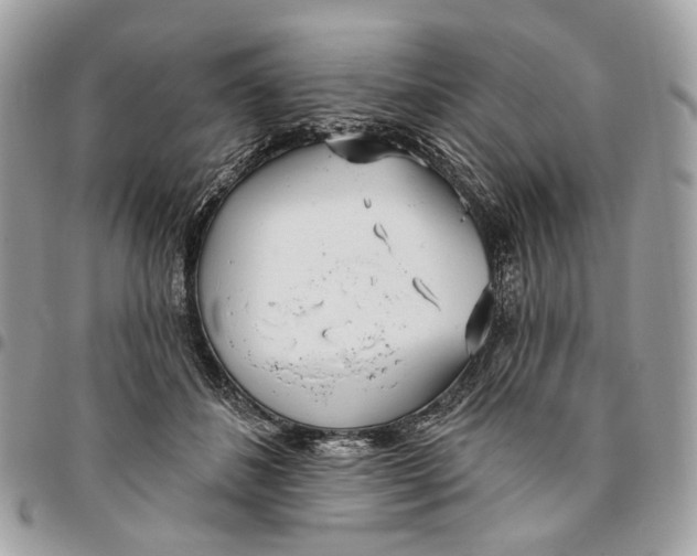 X0000096150508200802081415