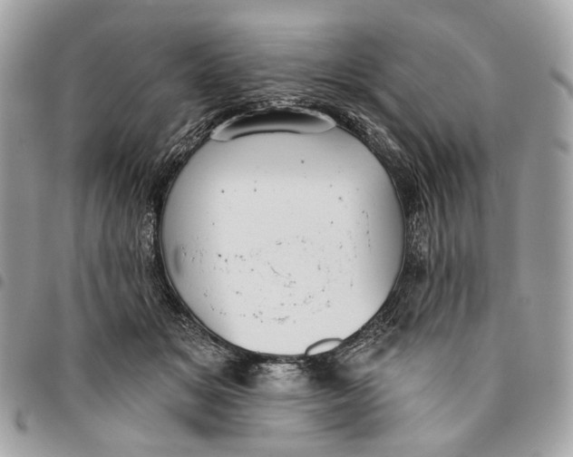 X0000096150509200802081415