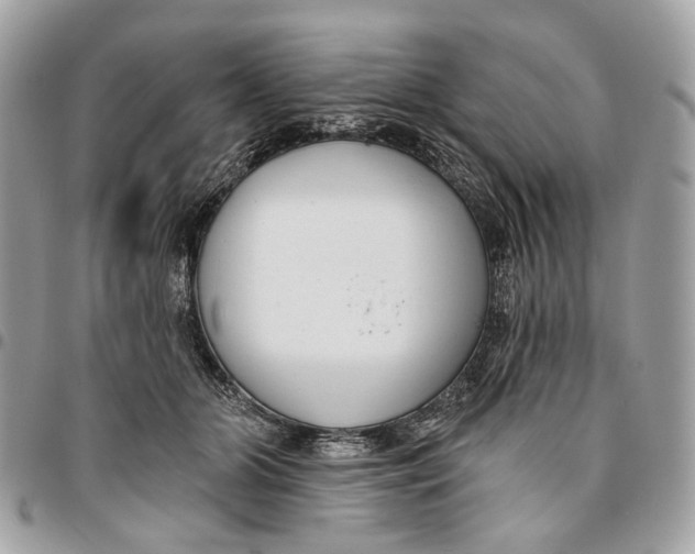 X0000096150510200802081415