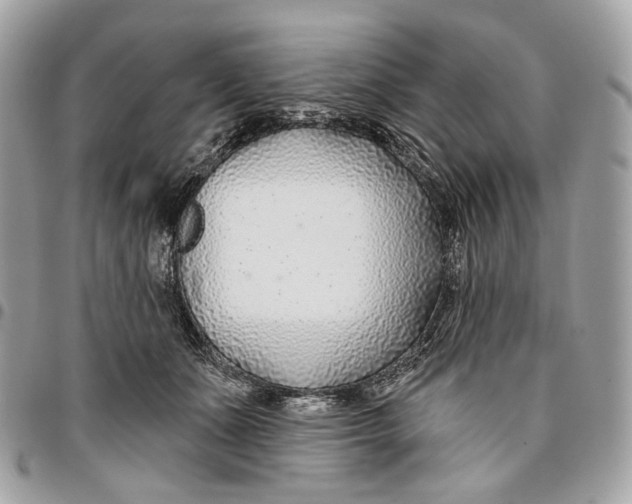 X0000096150511200802081415