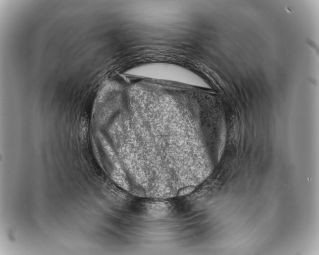 X0000096150513200802081415