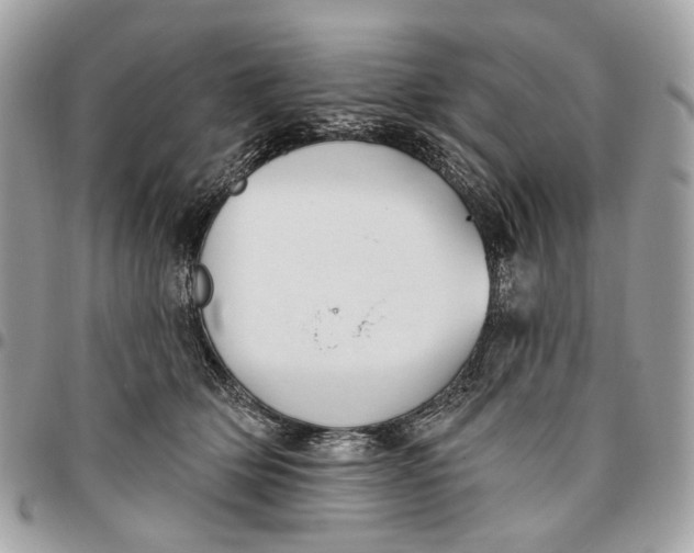 X0000096150514200802081415