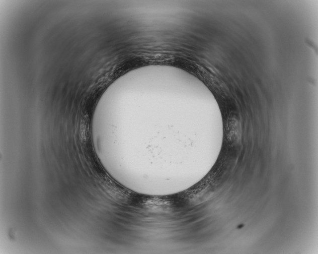 X0000096150515200802081415