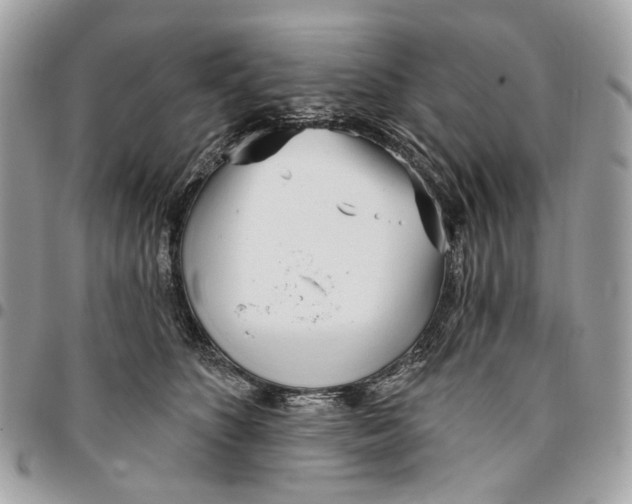 X0000096150516200802081415