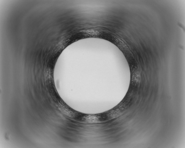 X0000096150518200802081415