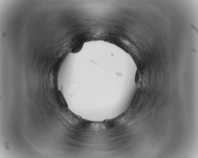 X0000096150520200802081415