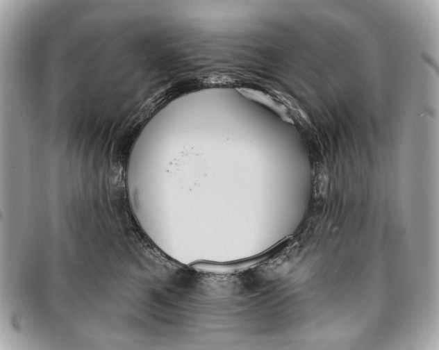 X0000096150521200802081415