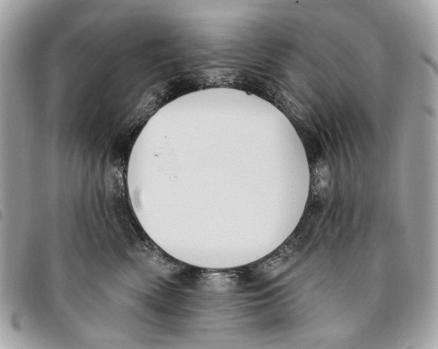 X0000096150522200802081415