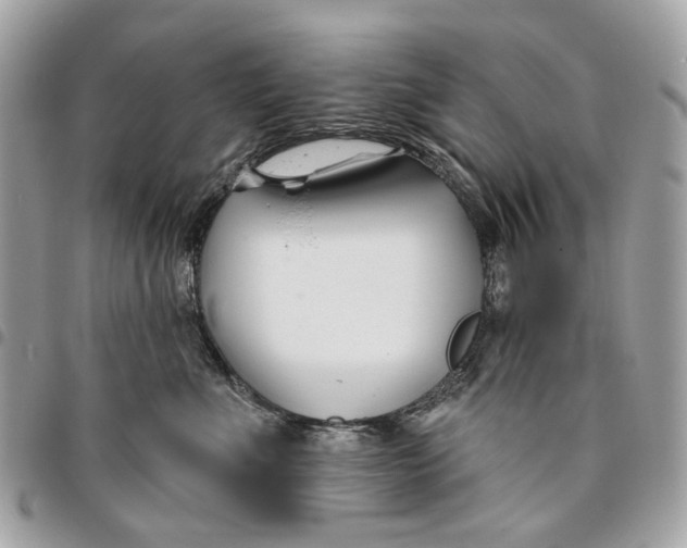 X0000096150523200802081415