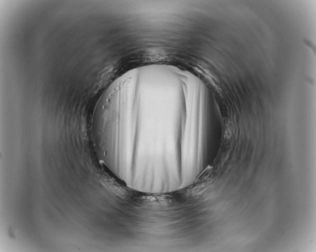 X0000096150524200802081415