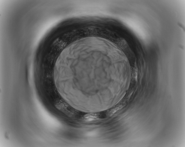 X0000096150526200802081415