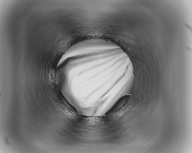 X0000096150528200802081415