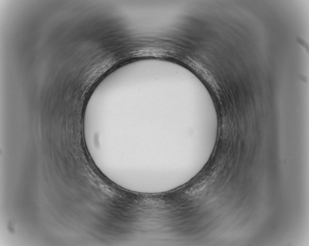 X0000096150529200802081414