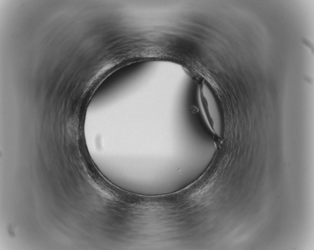 X0000096150530200802081414