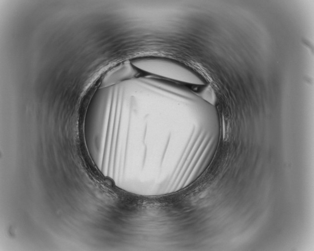 X0000096150531200802081414